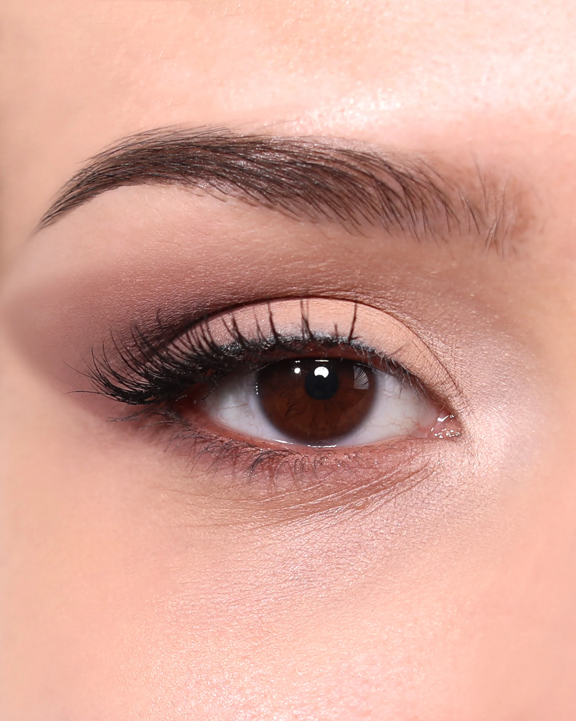 Cosmic Desire Eyeshadow Palette - Image 5